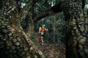 BIB: 
                            <button type="button" onclick="openModal(25392445)" class="btn btn-primary btn-sm float-right btn-popup" data-toggle="modal" data-target=".modal-high-quality">
                        <i class="fas fa-shopping-cart"></i> Add to Cart
                    </button>
                                            <button type="button" onclick="isThisMe(25392445, true)" class="btn btn-success btn-sm float-right btn-popup btn-isme hidden" data-toggle="tooltip" data-placement="bottom" title="นี่คือรูปของคุณใช่ไหม คลิกที่นี่เพื่อเอาเข้าอัลบั้ม">
                        <i class="fas fa-plus"></i> Add to album
                    </button>
                    <button type="button" onclick="isThisMe(25392445, false)" class="btn btn-warning btn-sm float-right btn-popup btn-isnotme hidden">
                        <i class="fas fa-ban"></i> Remove from album
                    </button>